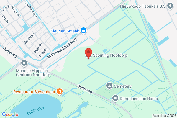 Jong, Sybrand De