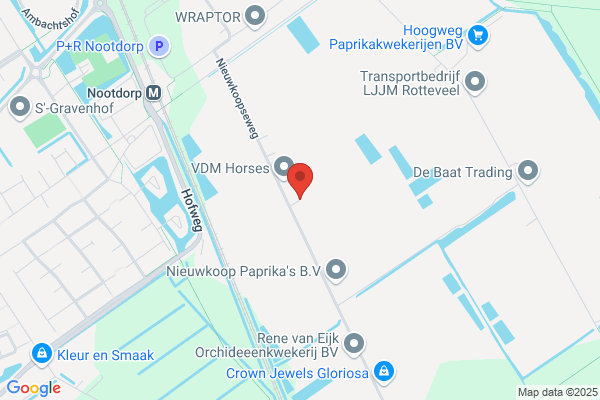 Werkhoven Bv, A M Van