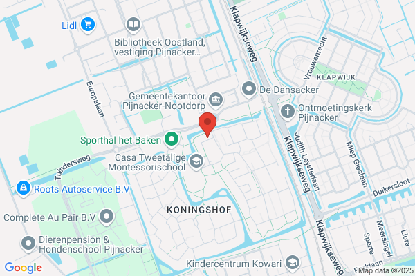 Binkhorst, Praktijk