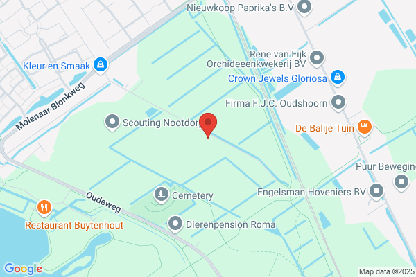 Quest Dynamische Oordeelsvorming