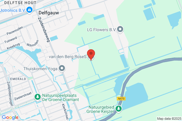 Van Den Berg Roses