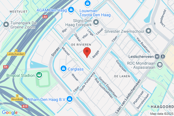 A N Remmerswaal