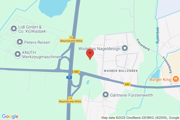 Holstein, Nico