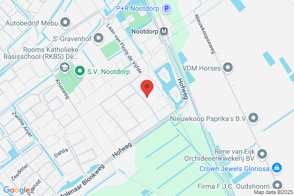 Jong, Caroline De