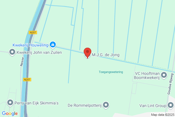 M.M.J. De Jong