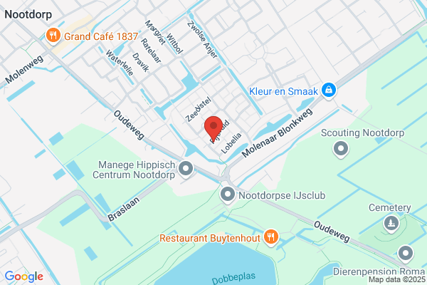 C.A.H. Neelissen
