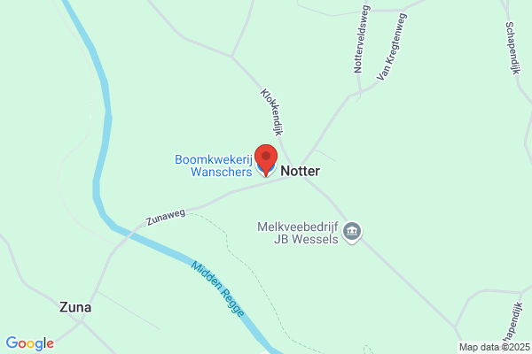 Wanschers