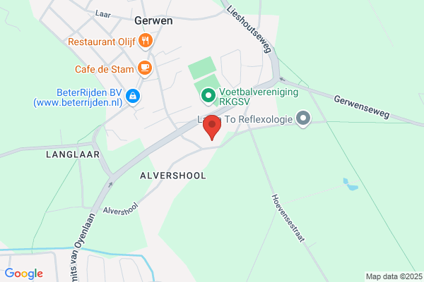 Van Rooy & Partners Bv