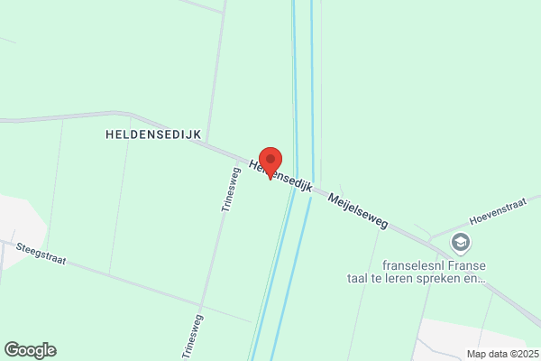 Meeuwis