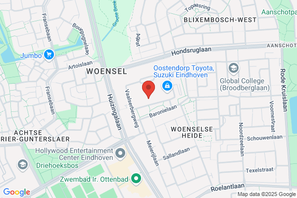 Driessen Opel