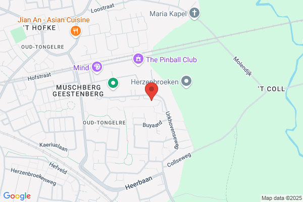 Dgw & T Z-Nederland