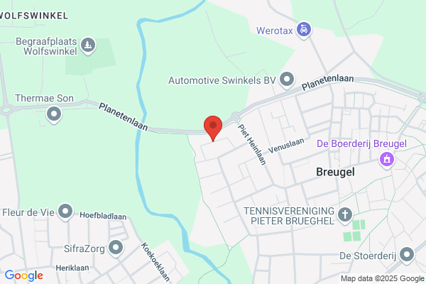 Bamboebeer, De