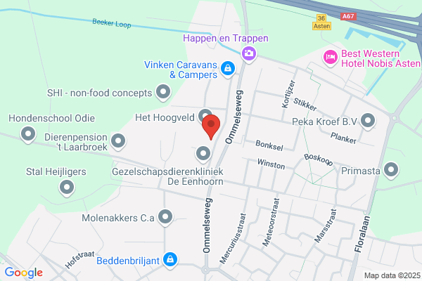 Bird Control Holland Cooperatie Ua