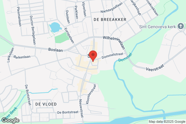 De Zwaan
