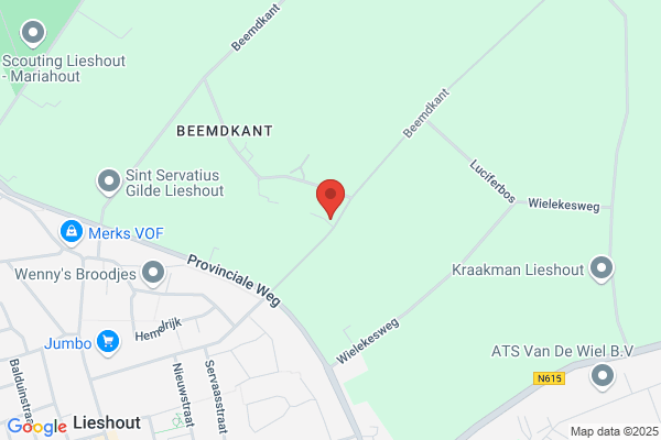 Schilderwerken M van de Kerkhof
