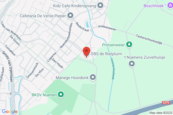Rietpluim Openb, De
