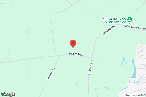 Schaepskooi, De