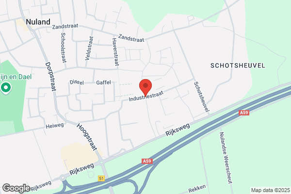 Eijsvogels