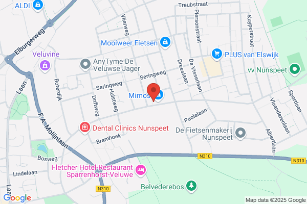 Dutch Webstudio