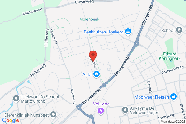 Hof, E Van 't