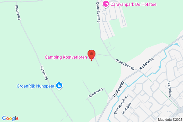Kamp