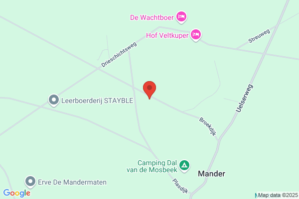 Bekhuis, René
