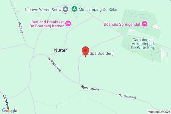 De Vos