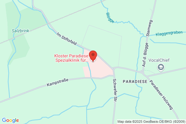 Soest & Partn, Van