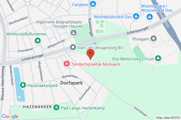 Drs. L.C.M. Van Roozendaal
