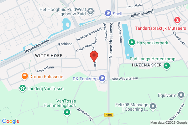 Groene Zijde, De