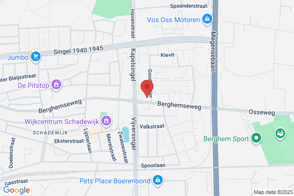 Goudplevier, De