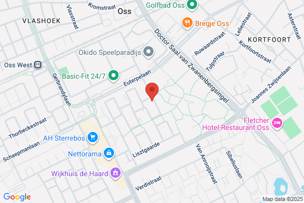Vliet, Van