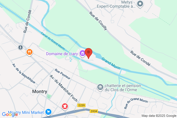 Artisane De France