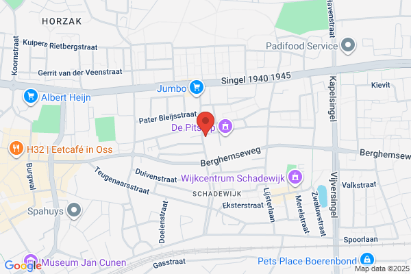 Gezinsvervangend Tehuis