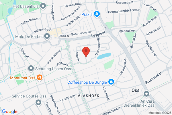 Dameskapsalon Riet