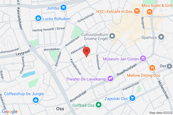 Boxtel Techniek Oss, Van