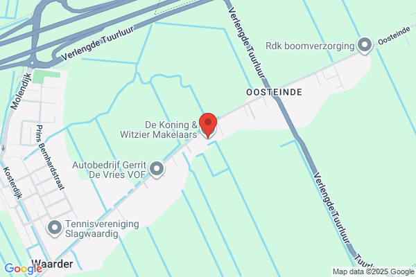 Koning Witzier, De