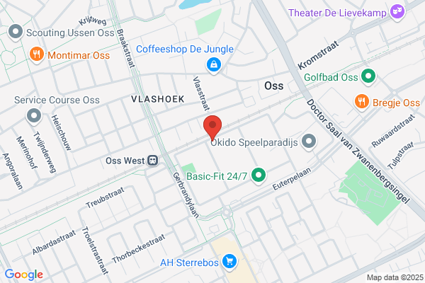 Biezen, Van Der