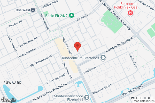 Hoefnagels, N