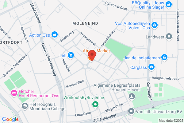 Vogels - Assurantien