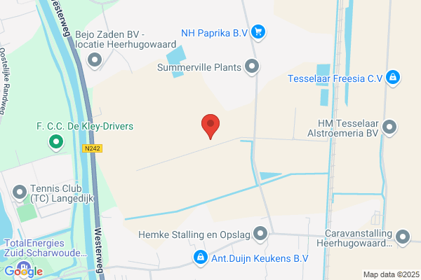 Firma Duijn