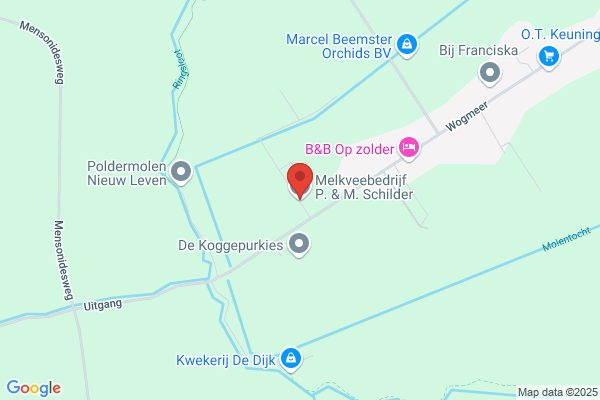 Lady Holsteins Schilder