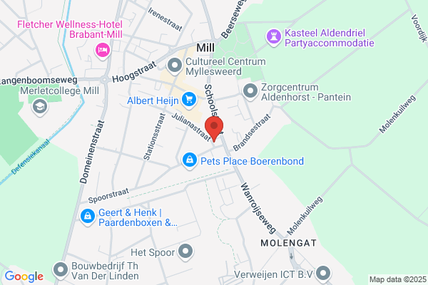 Karel Hol Auto's