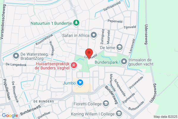 Pioniertjes, De