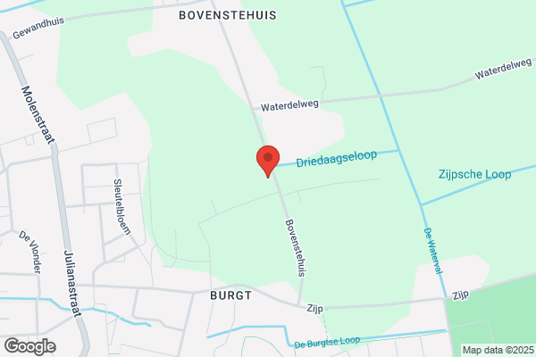 Tiny Van Der Horst Inst. Bedrijf