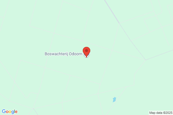 Staatsbosbeheer Odoorn