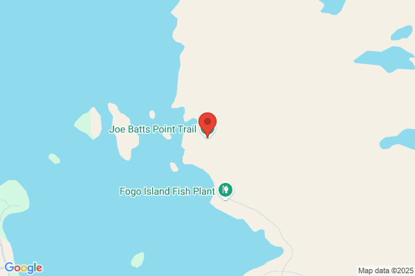 Joe Batt's Arm