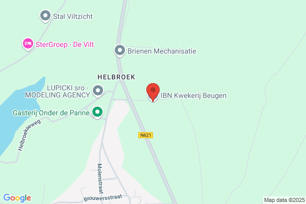 Boomkwekerij Vink Beugen Bv