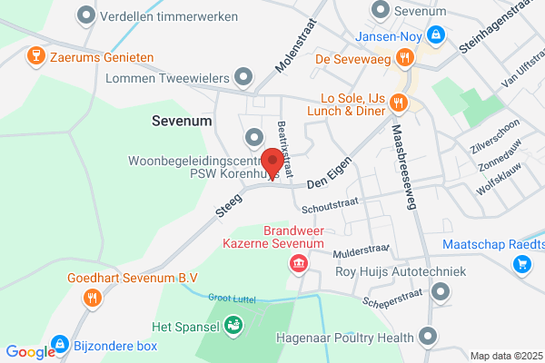 Buijssen, P