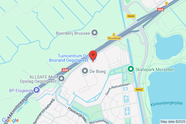 Bos